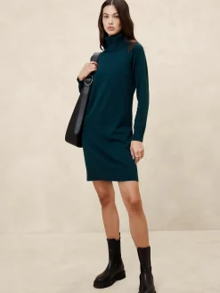 Turtle-Neck Sweater Dress