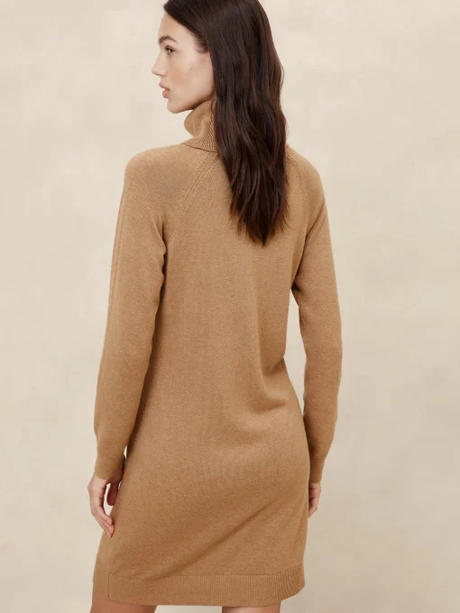 Turtle-Neck Sweater Dress