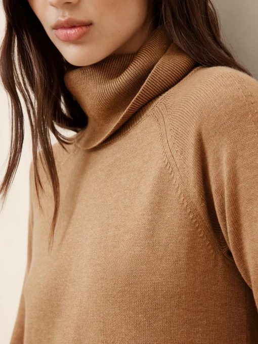 Turtle-Neck Sweater Dress