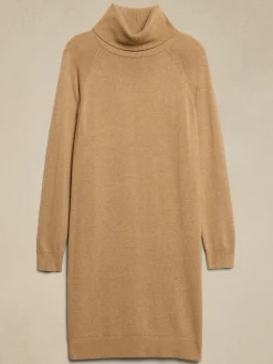 Turtle-Neck Sweater Dress